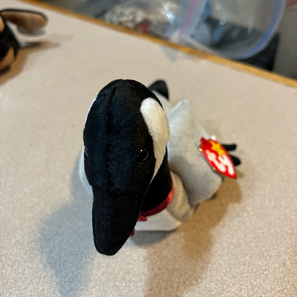 New Ty. Looty the duck, Stretch the Ostrich - Picture 2 of 8